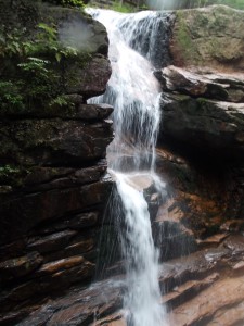 Photo Credit: Laura Hartman-Frizzell, The Flume Gorge, NH
